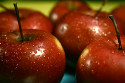 Darmowe jabłka z  Europejskiej Fundacji Ludzi Dobrej Woli SERDECZNA POMOC 