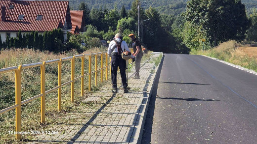 prace porzadkowe sichow