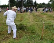 muchowski-kosiarz-009