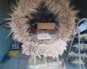 przygotowania_dozymki11